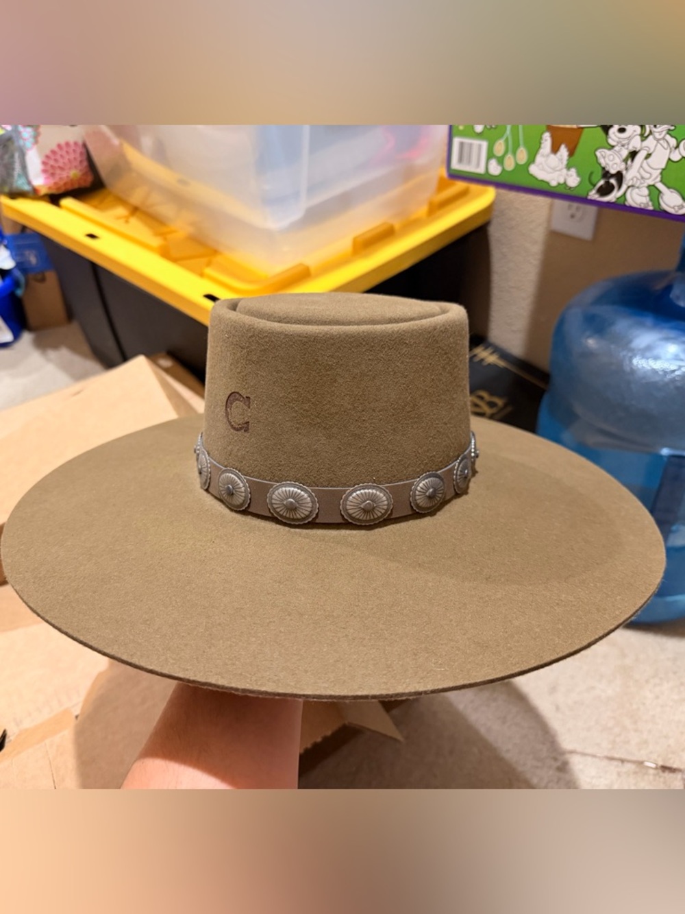 Charlie 1 horse hat